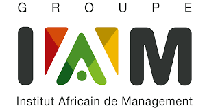 Iam Logo - Groupe IAM