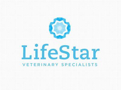 Lifestar Logo - Lifestar Proposed Logo by Brittan Pittman | Dribbble | Dribbble