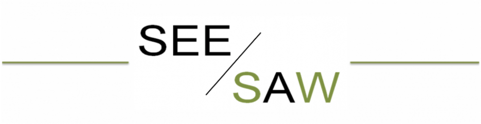 See-Saw Logo - OUR APPROACH