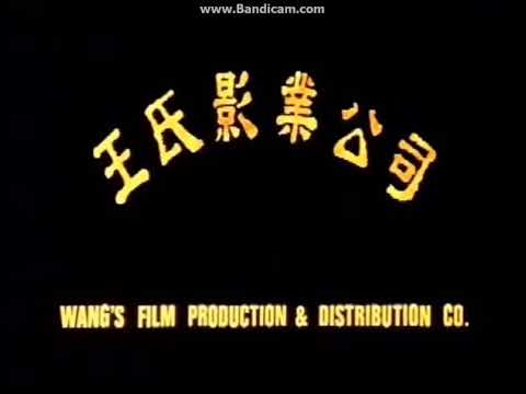 Wang Logo - Wang's Film Production & Distribution Co Logo