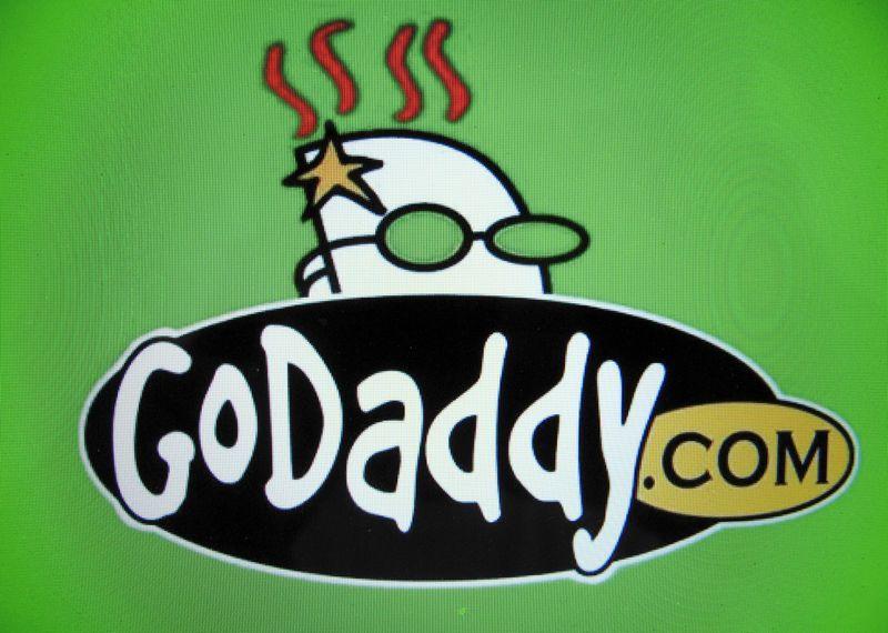 Godaddy.com Logo - GoDaddy reports web hosting sales below estimates