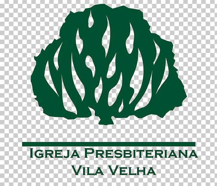 Protestantism Logo - Presbyterian Church Of Brazil Reformation Bible Protestantism ...