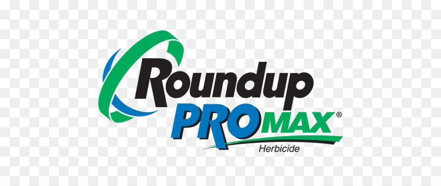Roundup Logo - Roundup Text png download*373 Transparent Roundup png