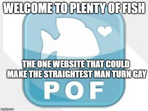 POF Logo - Image tagged in pof logo - Imgflip
