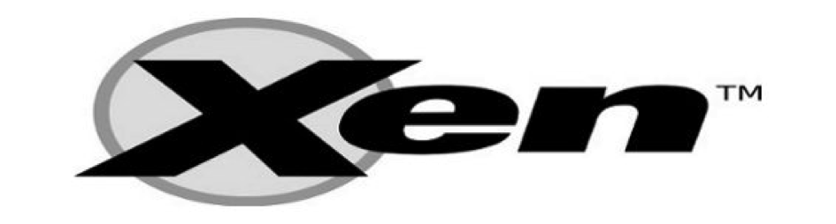 Xen Logo - The Dangers of x86 Emulation: Xen XSA 110 and 105