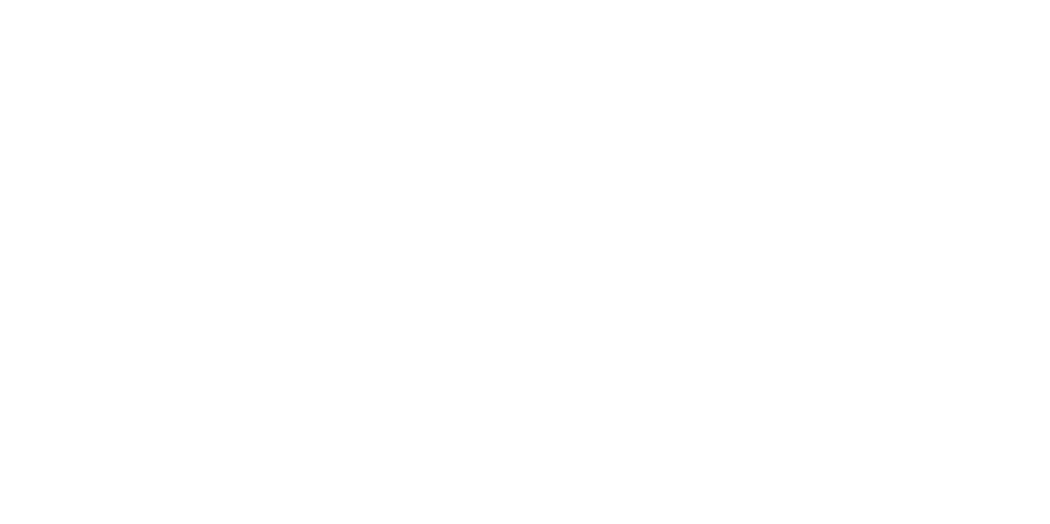 Don Logo - DON