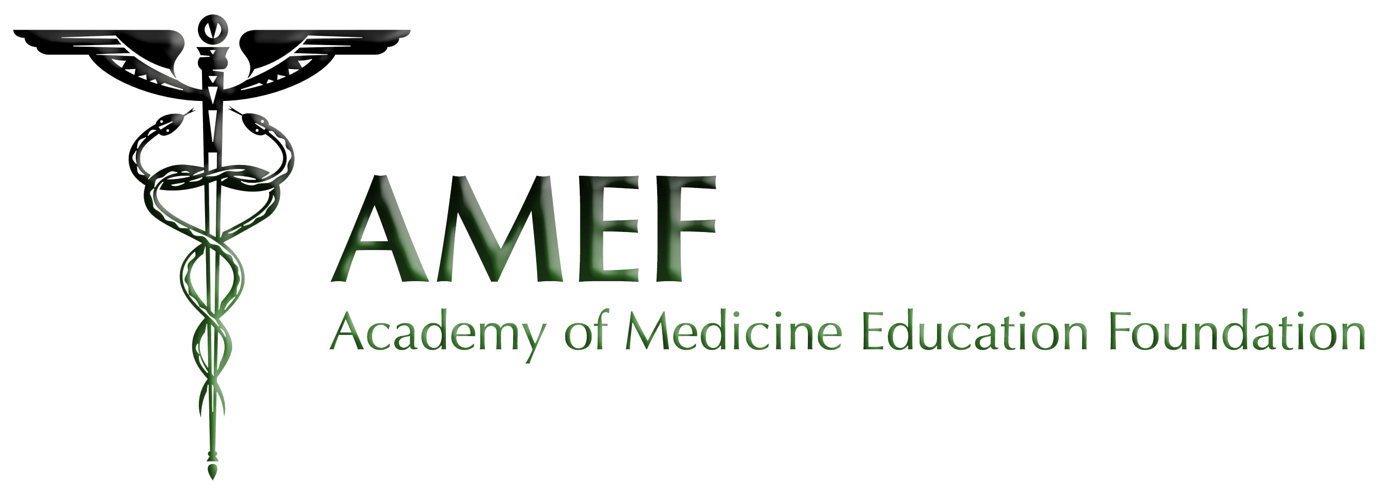 Amef Logo - Sponsors