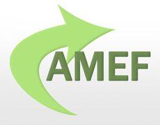 Amef Logo - Cursos | Thilkom