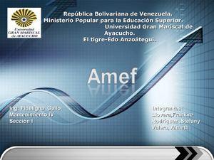 Amef Logo - Calaméo hidraulico (AMEF)