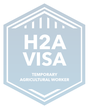 H2A Logo - H2A Visa |
