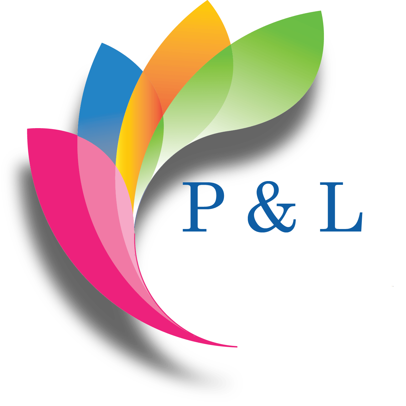 P&L Logo - P&L Associates Ltd