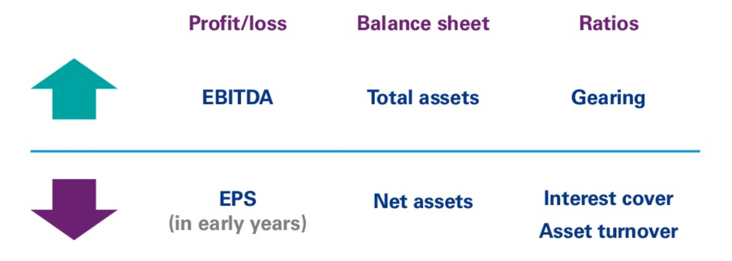 P&L Logo - p&l balance sheet and ratios