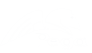 Pega Logo - Pega Logo - PM Power Consulting