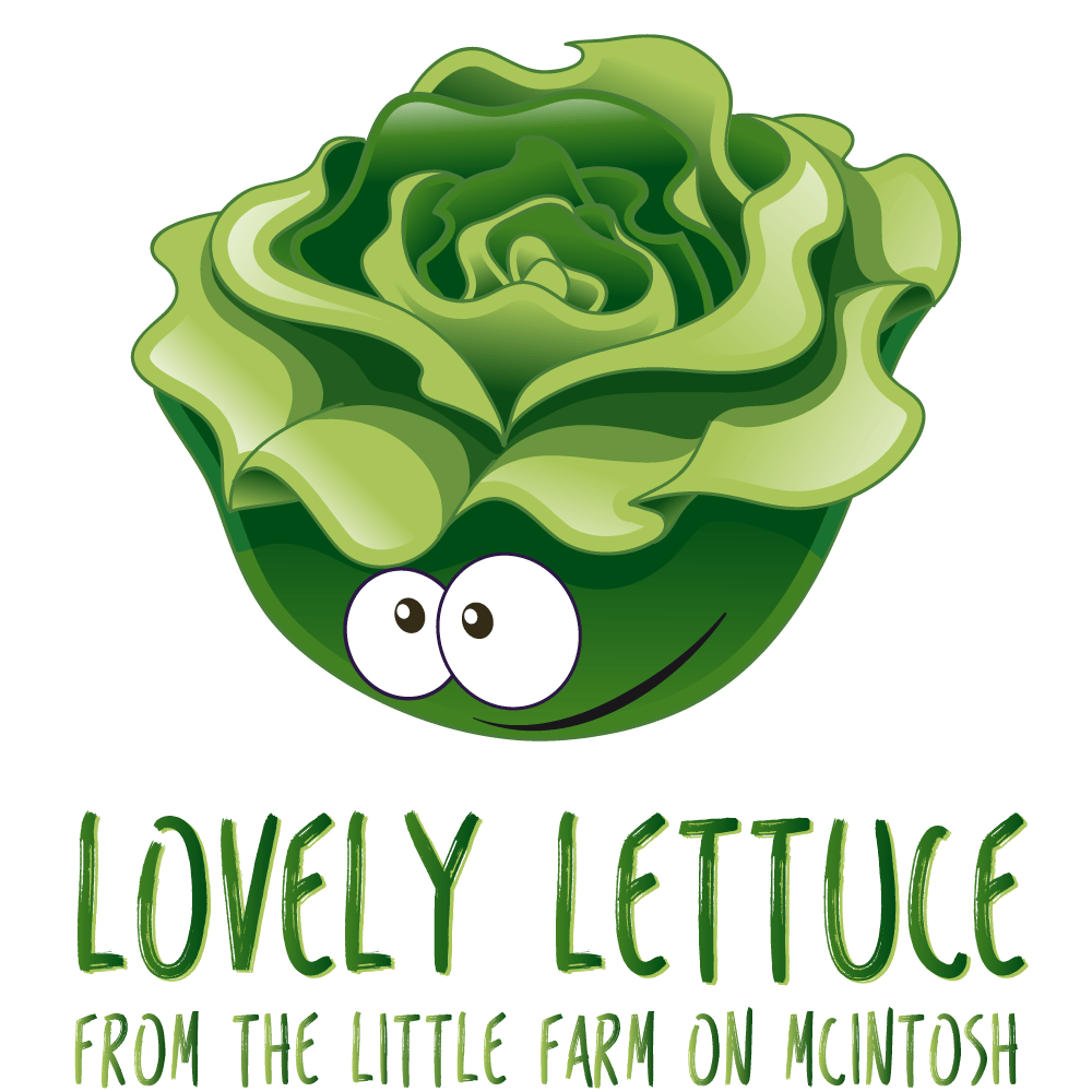 Lettuce Logo - Lovely-Lettuce-Logo-1b | Lovely Lettuce Gympie