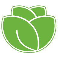 Lettuce Logo - paluch.biz is now lettuce.io