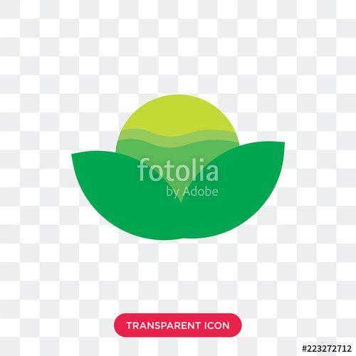 Lettuce Logo - Lettuce vector icon isolated on transparent background, Lettuce logo ...