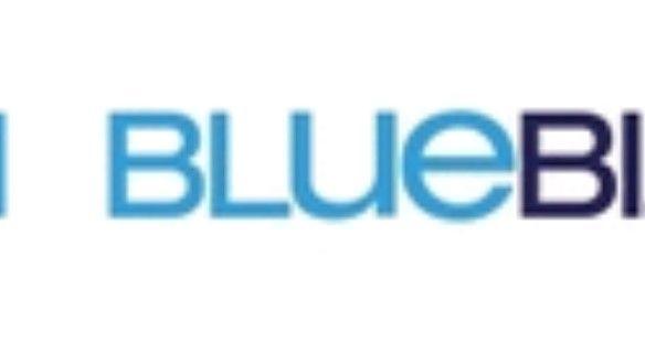 BlueBiz Logo - Blue Biz Free Name Changes