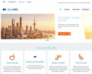 BlueBiz Logo - Well that didn't work! No KLM Flying BlueBiz for me. But for some, a