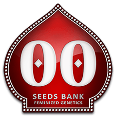 00 Logo - 00seeds.com