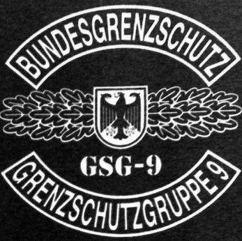 GSG9 Logo - Two German GSG-9 (Anti-Terrorist Unit) Employees Missing in Iraq