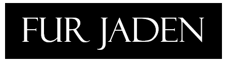 Jaden Logo - Fur Jaden | Handbags: Buy Clutches & Bags for Women Online India ...