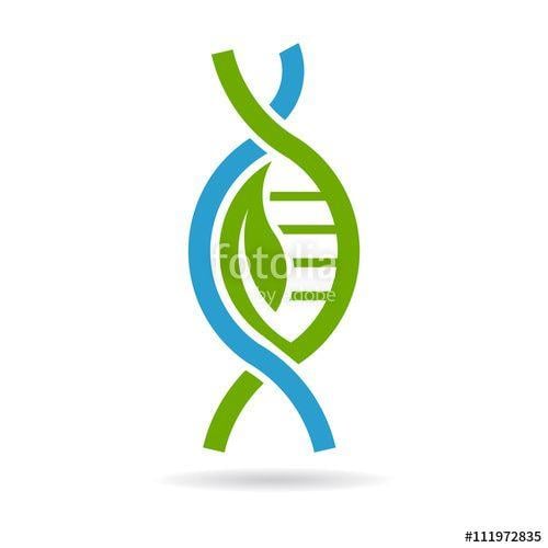 Biology Logo - Biology DNA logo. Vector graphic design