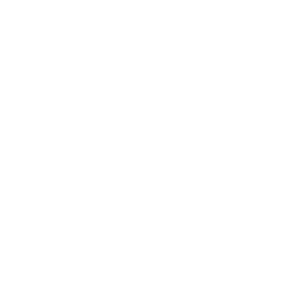 Barebones Logo - Bare Bones Ice Company