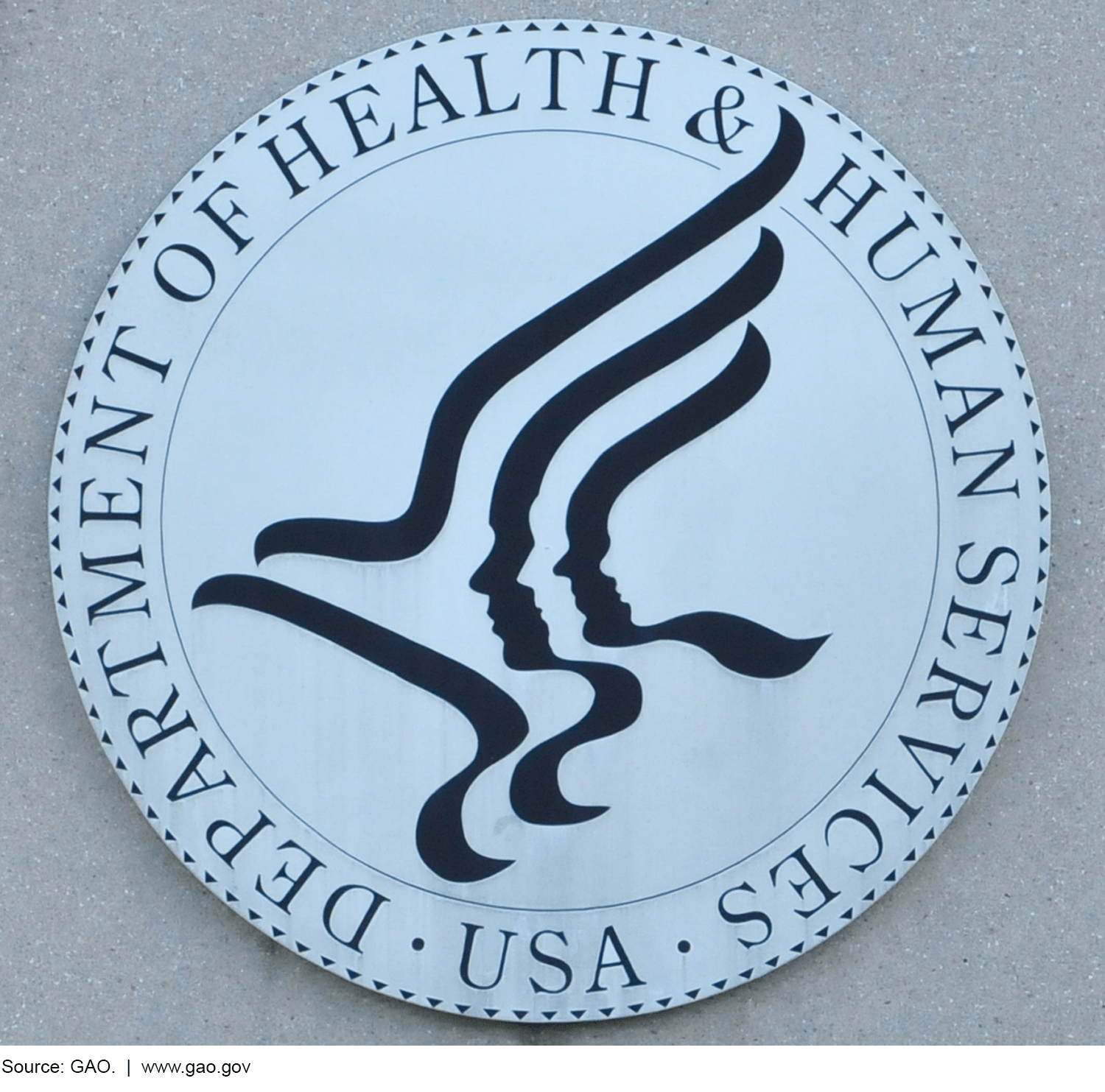 Gao Logo - U.S. GAO - Public Health Emergencies: HHS Needs to Better ...