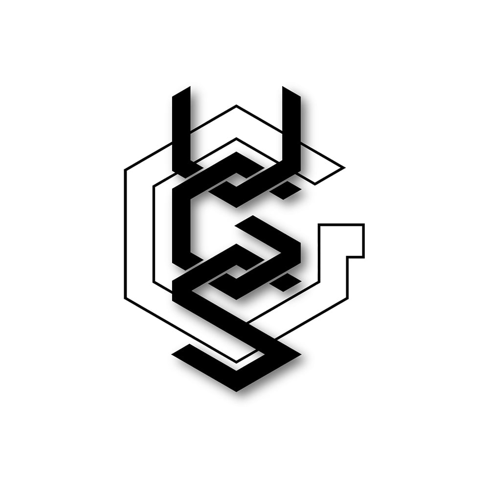 VGS Logo - Official VGS Logo Gaming Setup