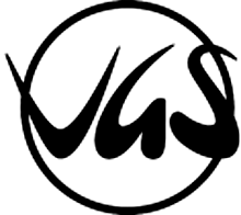 VGS Logo - List of guitar brand name logos - V | guitar-list