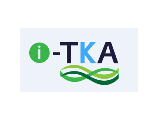 TKA Logo - i – TKA | The Kingston Academy