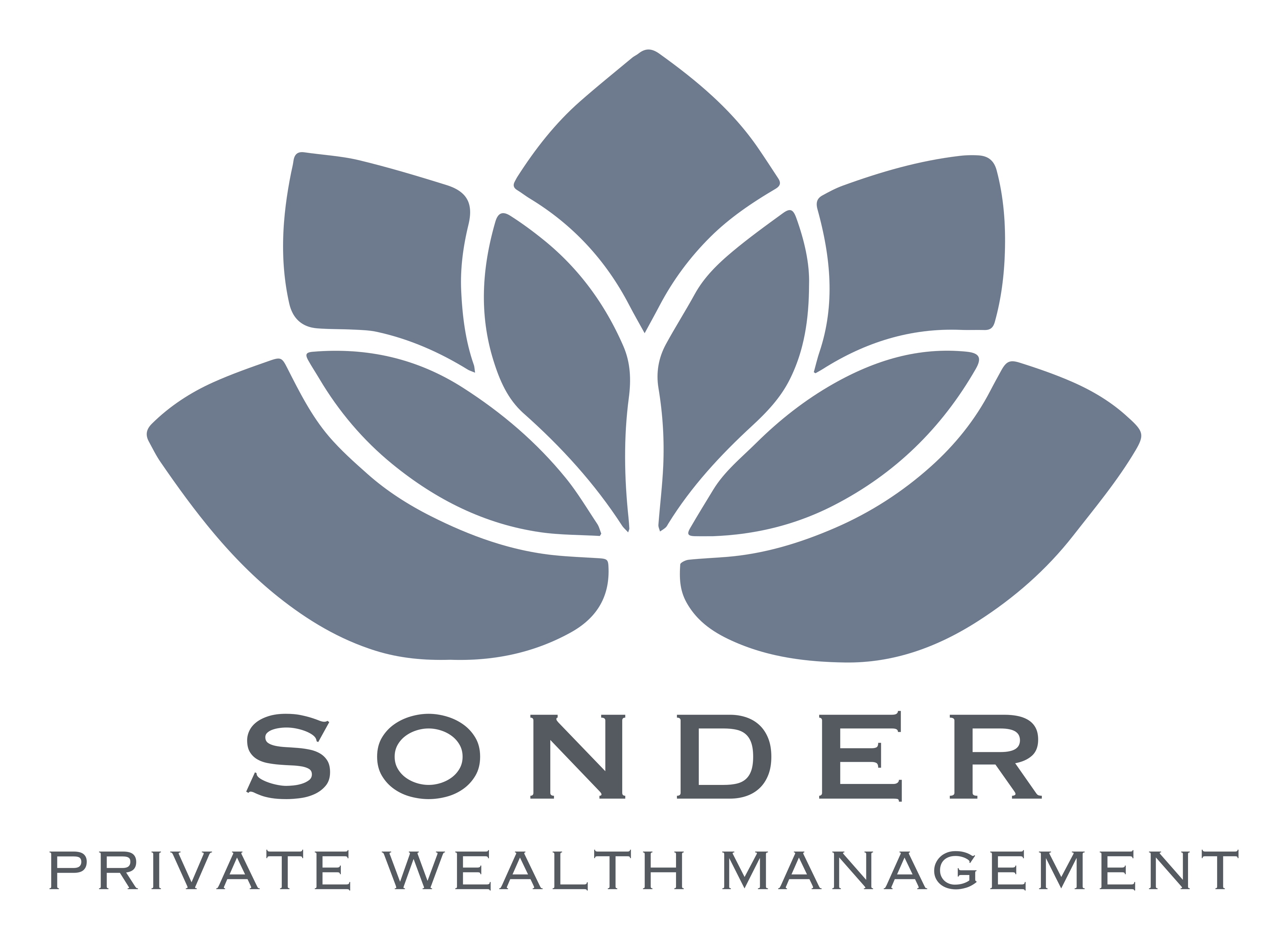 Wealth Logo - Sonder Private Wealth Management