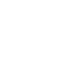 Arena Logo - Silph Arena Assets