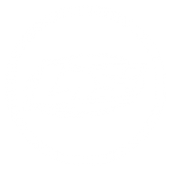 Losi Logo - Team Losi Option Parts