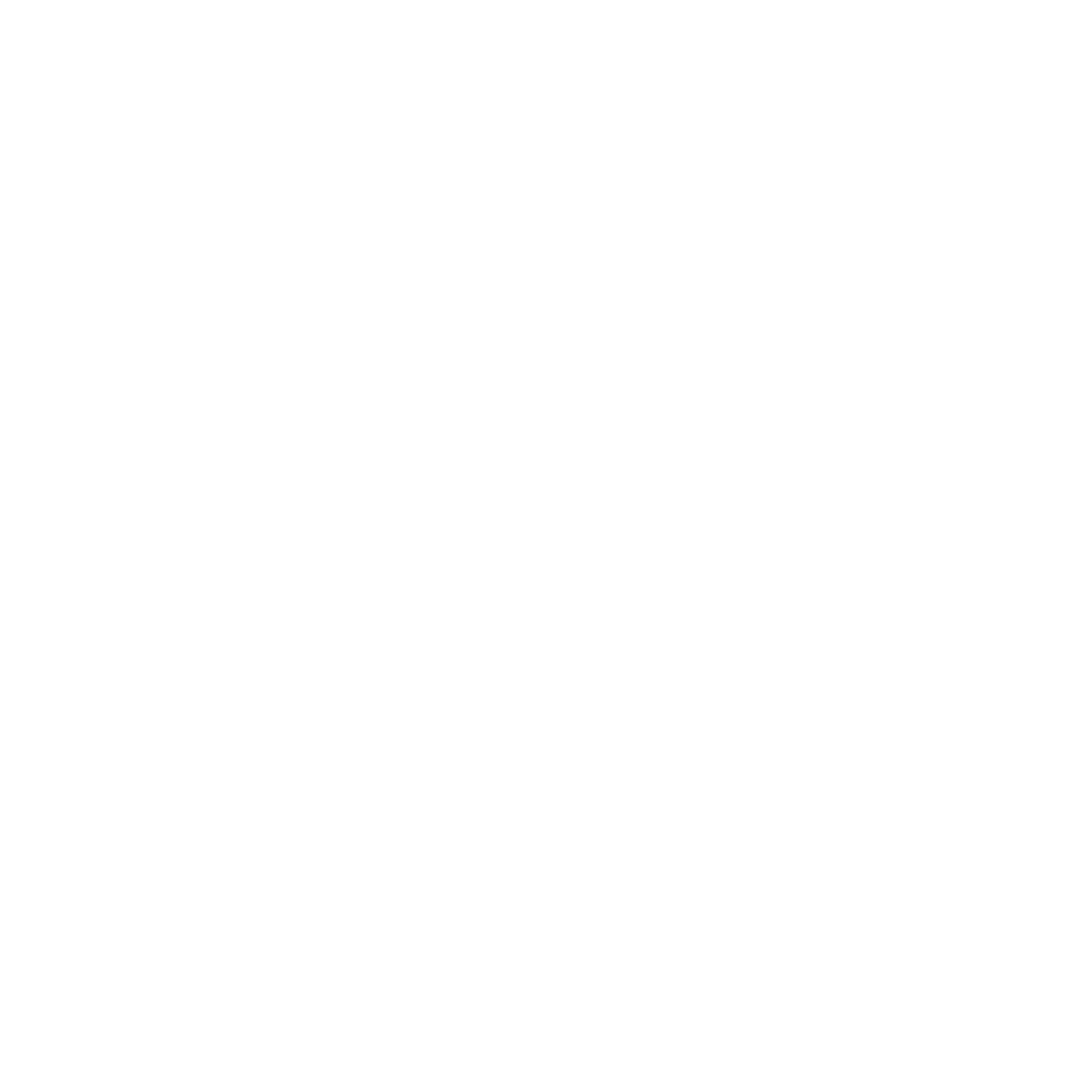 YBN Logo - 