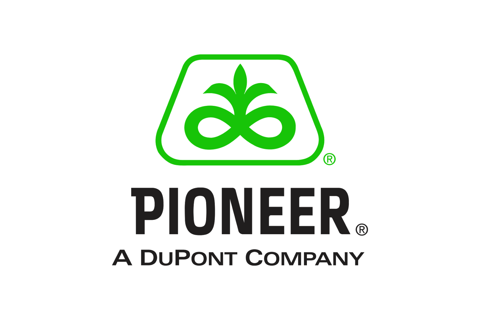 Pionner Logo - DuPont Pioneer Logo - logo cdr vector