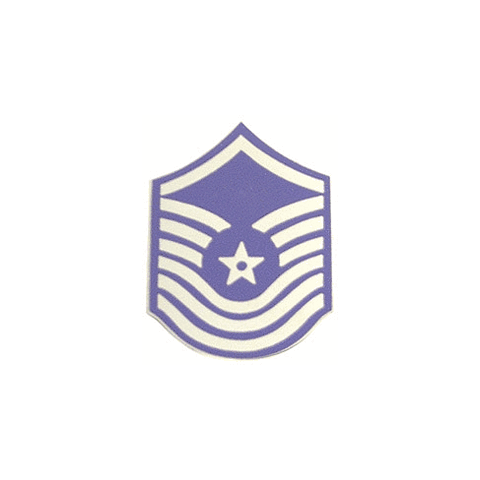 SMSgt Logo - United States Air Force Senior Master Sergeant (SMSgt E 8) Pin