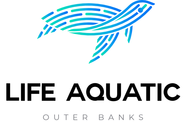 Aquatic Logo - Outer Banks Vacation Rentals | AirBnB, VRBO & HomeAway | Life Aquatic