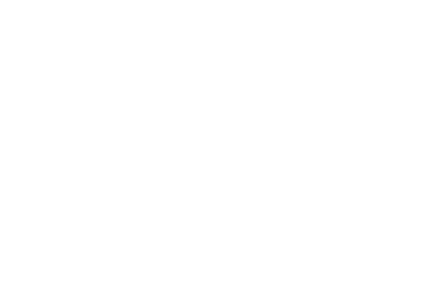 iiNet Logo - Brand Elements