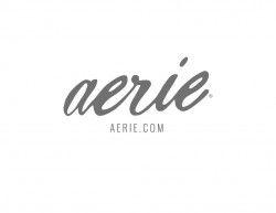 Aerie Logo - Aerie