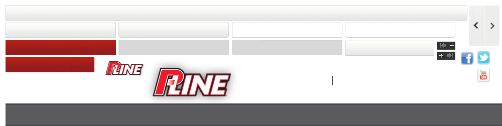 P-Line Logo - p-line.com