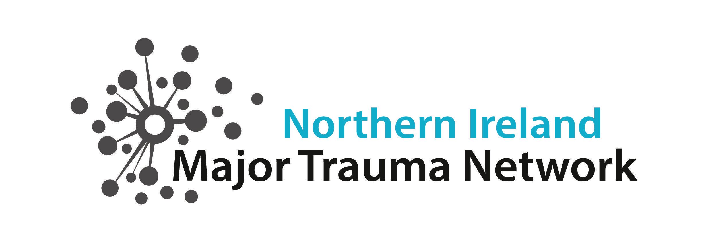 Trauma Logo - Northern Ireland Major Trauma Network - HSCB