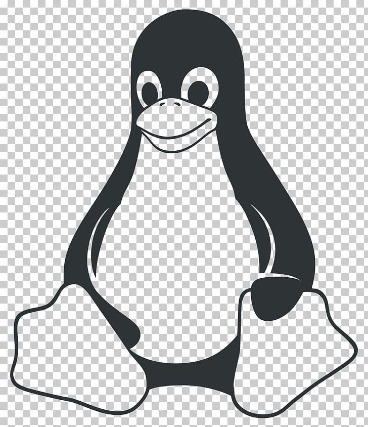 GNU Logo - Tux Penguin Linux GNU, Penguin, Linux logo PNG clipart | free ...