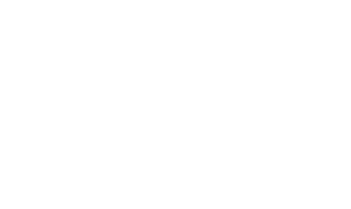 Pilgrim Logo - Home - Pilgrim's Global