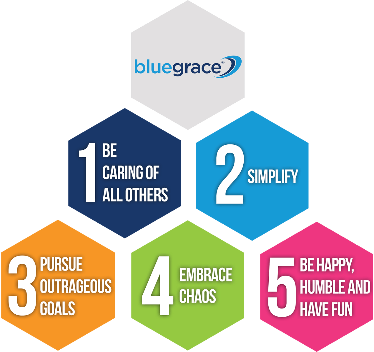 BlueGrace Logo - Core Values