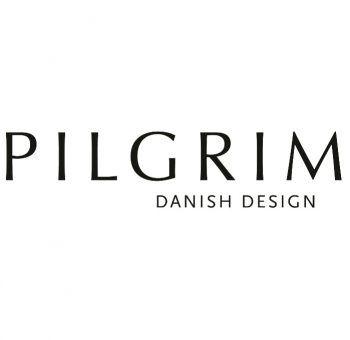 Pilgrim Logo - STEPitUP