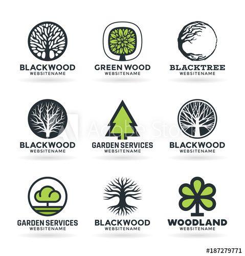 Branches Logo - Vector trees with stylized green leaves, branches and roots. Set