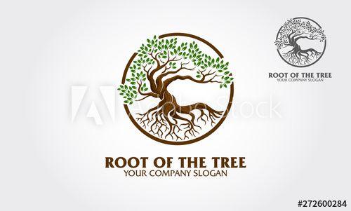 Branches Logo - Root of the Tree logo illustrating a tree roots, branches are