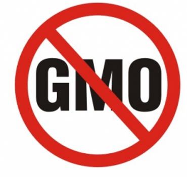 GMO Logo - Judaism and GMO's?