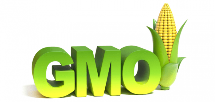 GMO Logo - Genetically Modified Crops